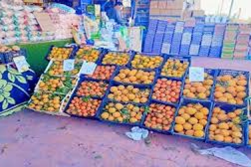 افتتاح سوق "اليوم الواحد" بمدينة الطور في جنوب سيناء