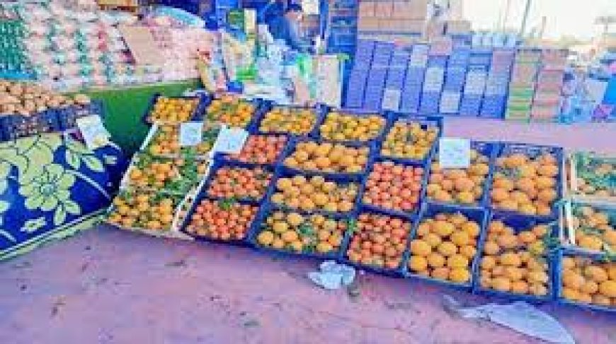 افتتاح سوق "اليوم الواحد" بمدينة الطور في جنوب سيناء