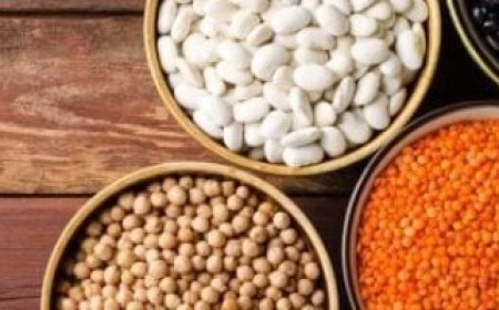 أطعمة تبدو آمنة لكنها تتحول إلى خطر بعد انتهاء صلاحيتها