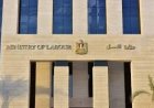 وزارة العمل: 4379 فرصة عمل جديدة فى 12 محافظة ضمن نشرة التوظيف