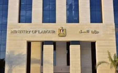وزارة العمل: 4379 فرصة عمل جديدة فى 12 محافظة ضمن نشرة التوظيف