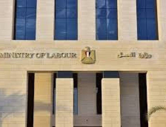 وزارة العمل: 4379 فرصة عمل جديدة فى 12 محافظة ضمن نشرة التوظيف