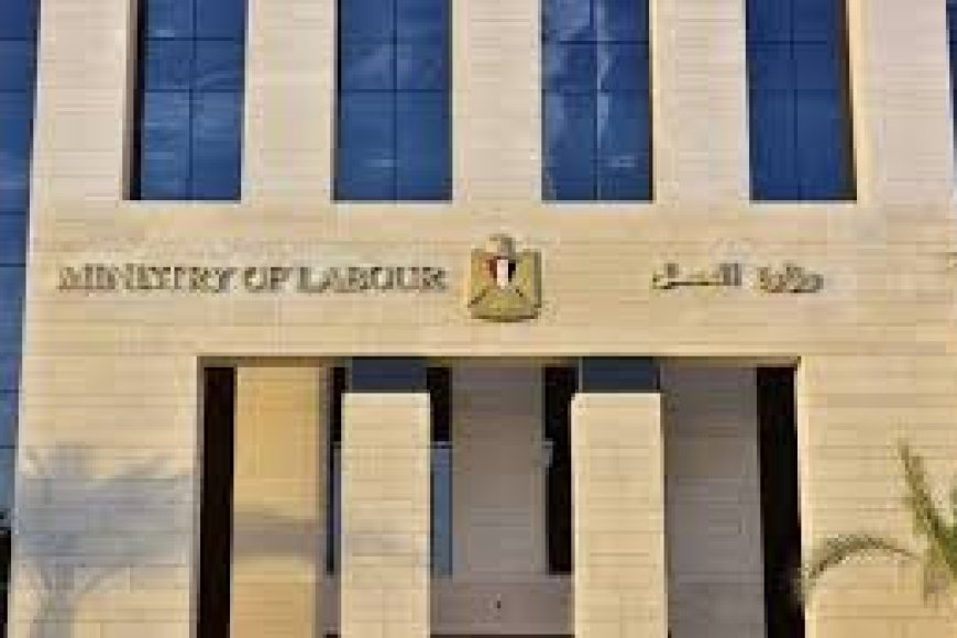 وزارة العمل: 4379 فرصة عمل جديدة فى 12 محافظة ضمن نشرة التوظيف