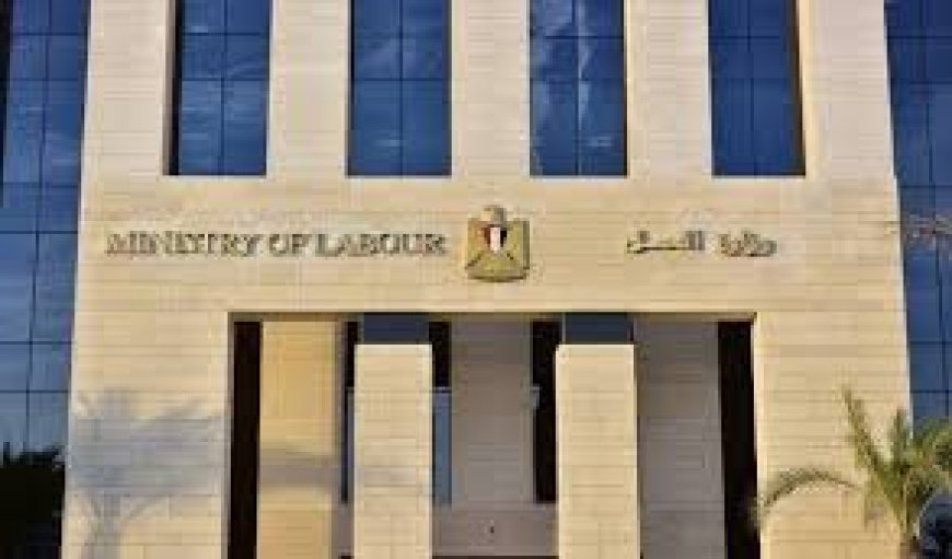 وزارة العمل: 4379 فرصة عمل جديدة فى 12 محافظة ضمن نشرة التوظيف