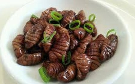 . أغرب 5 أكلات عالمية حول العالم