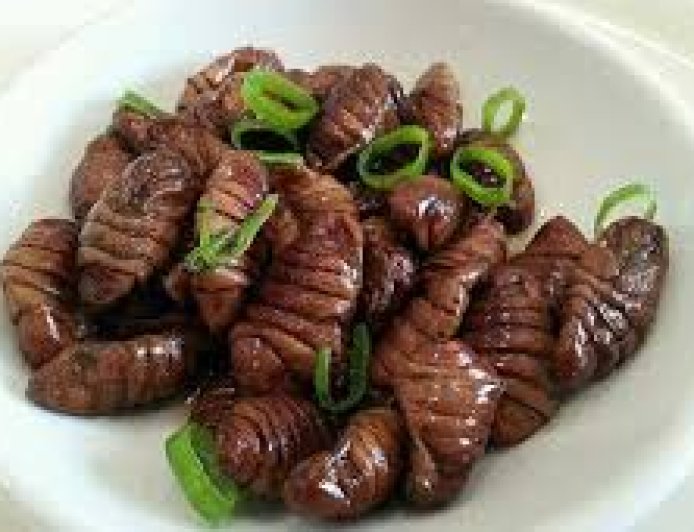 . أغرب 5 أكلات عالمية حول العالم