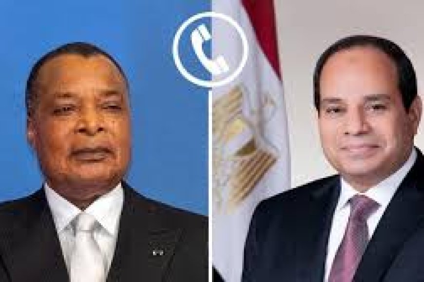 الرئيس السيسى ورئيس الكونغو: ضرورة تسوية أى نزاعات فى أفريقيا عبر الوسائل السلمية