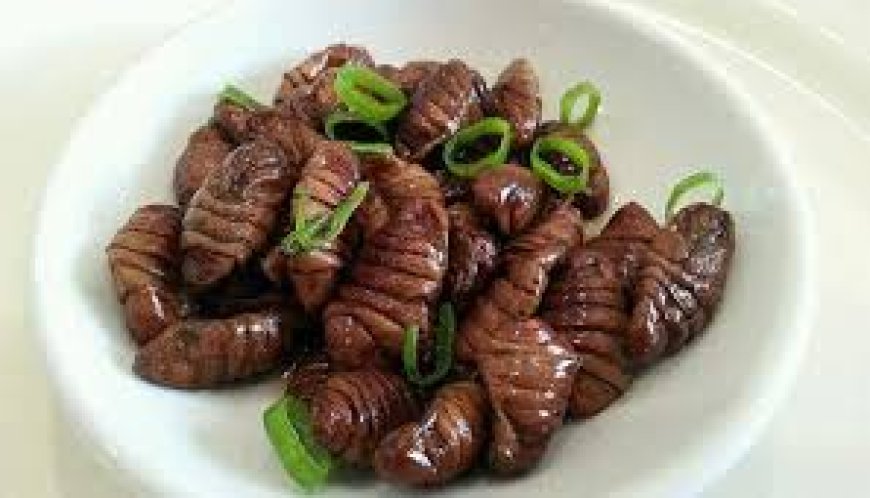 . أغرب 5 أكلات عالمية حول العالم