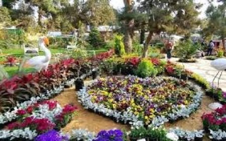 وزارة الزراعة تفتتح معرض زهور الربيع بالمتحف الزراعي جزئيًا