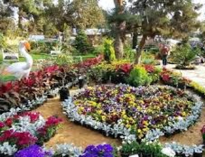 وزارة الزراعة تفتتح معرض زهور الربيع بالمتحف الزراعي جزئيًا