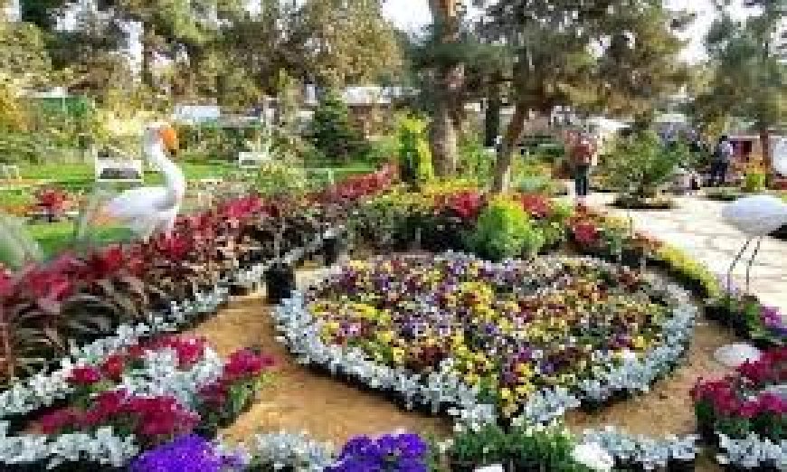 وزارة الزراعة تفتتح معرض زهور الربيع بالمتحف الزراعي جزئيًا