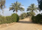 بعد تلقي شكوى وفحص الموقع ميدانيًا.. لا صحة لوجود مصحة لعلاج الإدمان بالإسماعيلية
