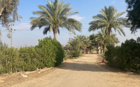 بعد تلقي شكوى وفحص الموقع ميدانيًا.. لا صحة لوجود مصحة لعلاج الإدمان بالإسماعيلية