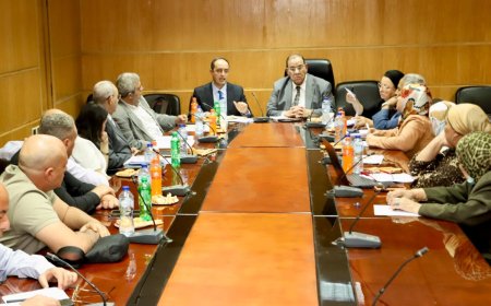 تشكيل لجنة مشتركة لمراجعة أوضاع مراكز علاج الإدمان والصحة النفسية تمهيدًا لعرضها على القومي للصحة النفسية