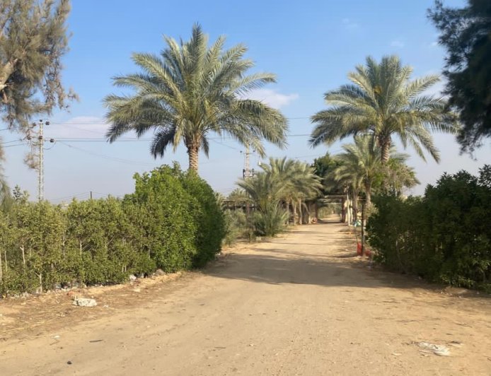 بعد تلقي شكوى وفحص الموقع ميدانيًا.. لا صحة لوجود مصحة لعلاج الإدمان بالإسماعيلية