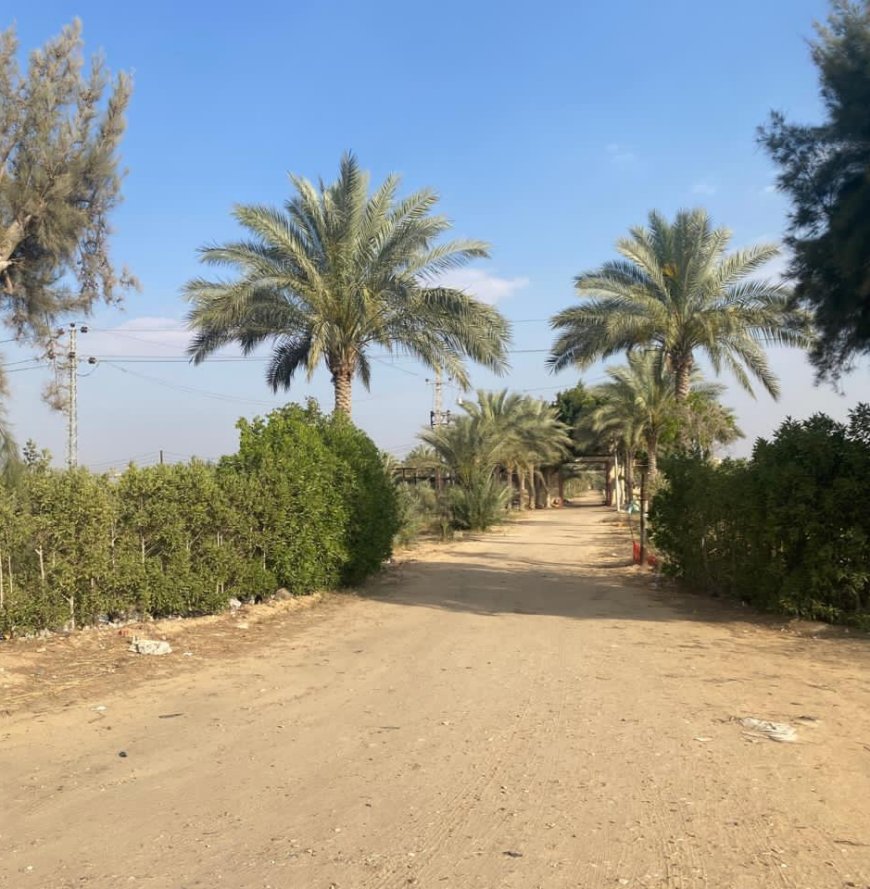 بعد تلقي شكوى وفحص الموقع ميدانيًا.. لا صحة لوجود مصحة لعلاج الإدمان بالإسماعيلية