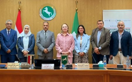 الشرقية تُحيي كنز الفراعنة.. خلال مشروع «من ورق البردي الأخضر إلى الفن الخالد» 2