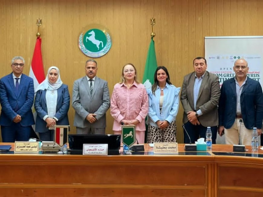 الشرقية تُحيي كنز الفراعنة.. خلال مشروع «من ورق البردي الأخضر إلى الفن الخالد» 2