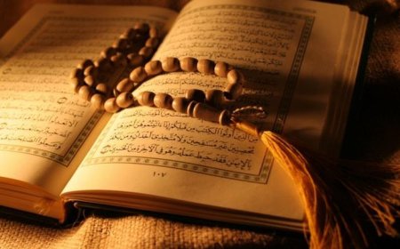 فضل قراءة سورة الملك قبل النوم.
